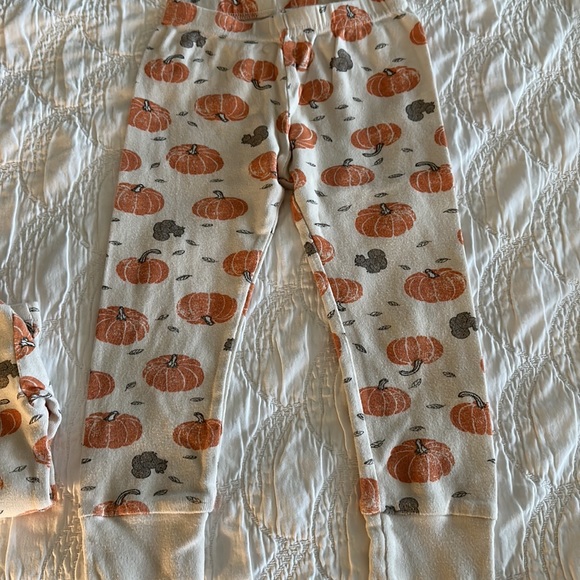 Carter’s Organic Pumpkin Pajamas in 2T - Picture 4 of 5